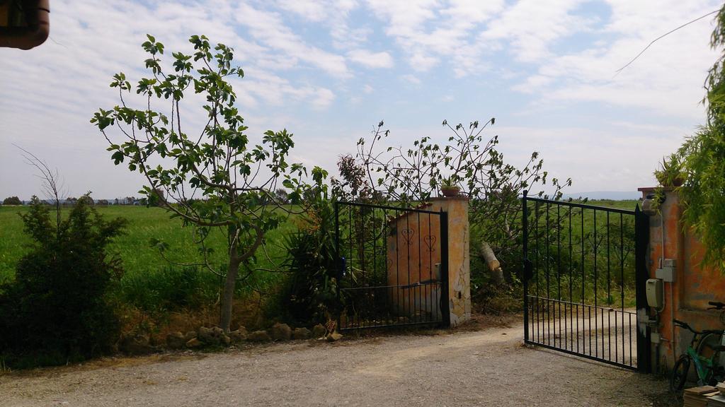 Appartamento Il Salice Casa Minnina Eksteriør billede